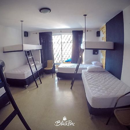 Blackpine Hostel Medellín Dış mekan fotoğraf