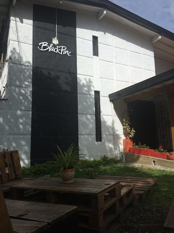 Blackpine Hostel Medellín Dış mekan fotoğraf