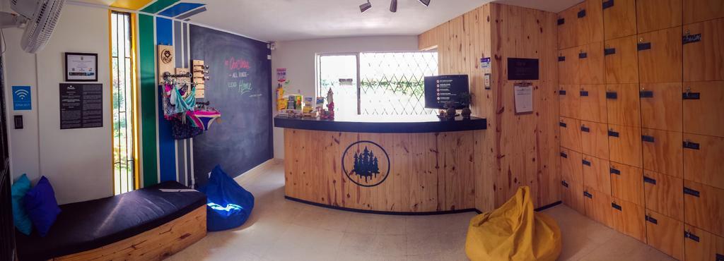 Blackpine Hostel Medellín Dış mekan fotoğraf