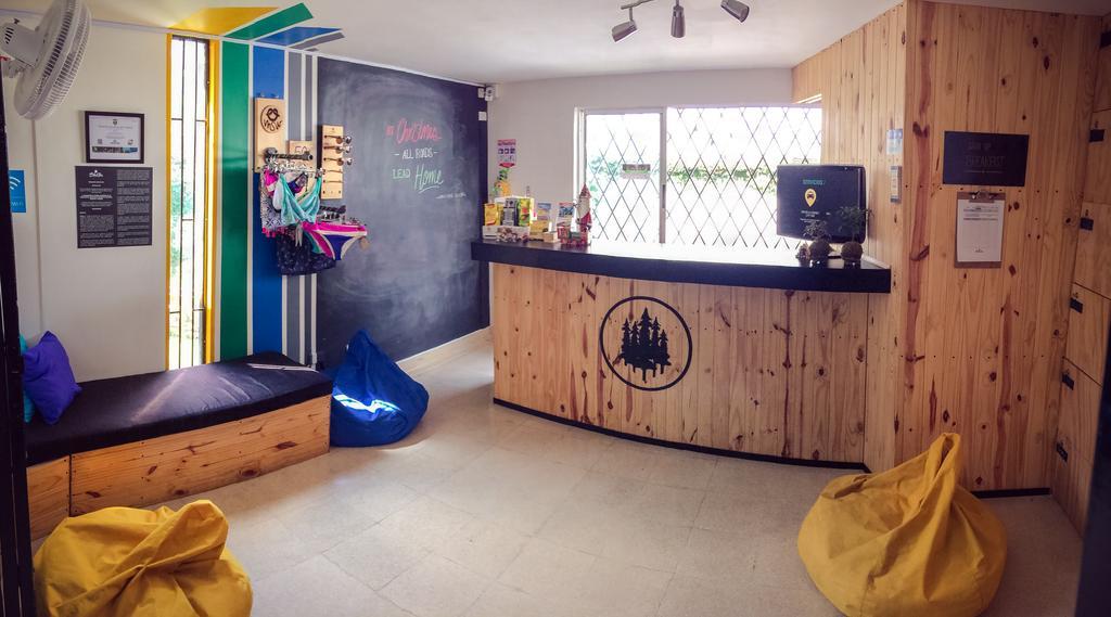 Blackpine Hostel Medellín Dış mekan fotoğraf
