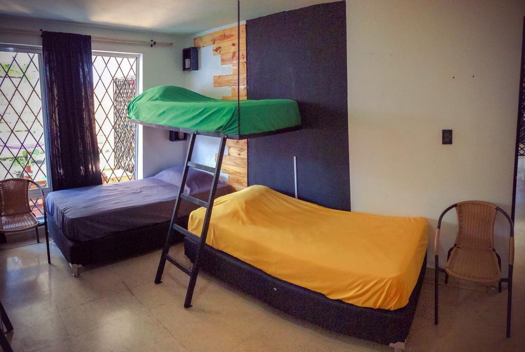 Blackpine Hostel Medellín Oda fotoğraf