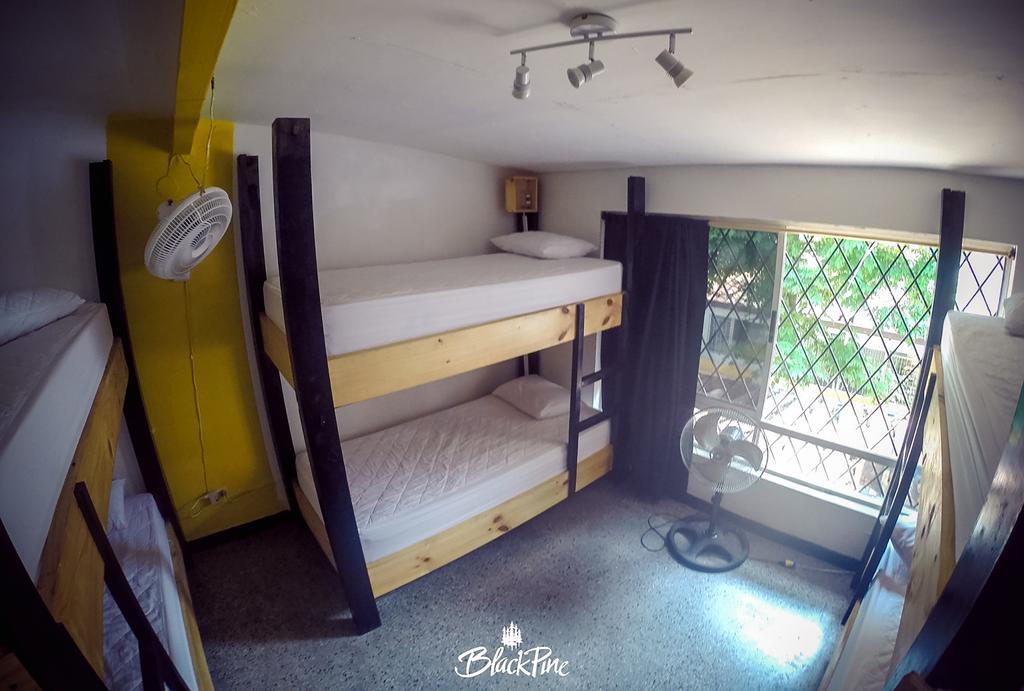 Blackpine Hostel Medellín Dış mekan fotoğraf