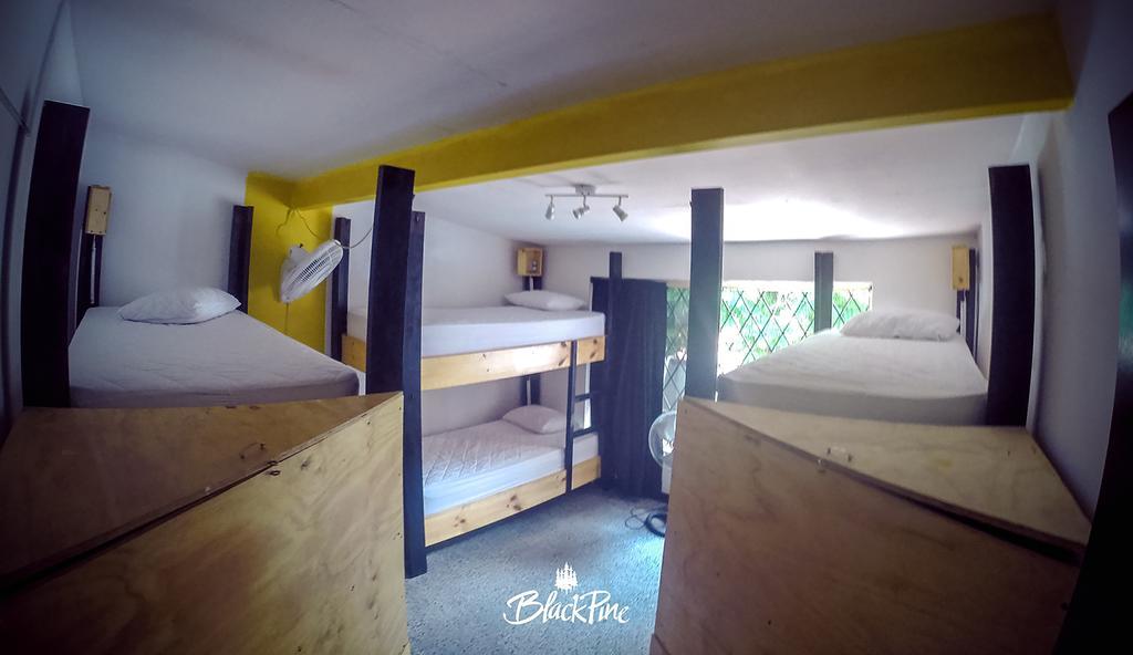 Blackpine Hostel Medellín Dış mekan fotoğraf