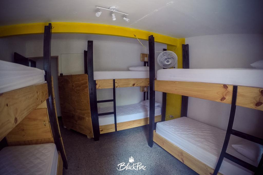 Blackpine Hostel Medellín Dış mekan fotoğraf