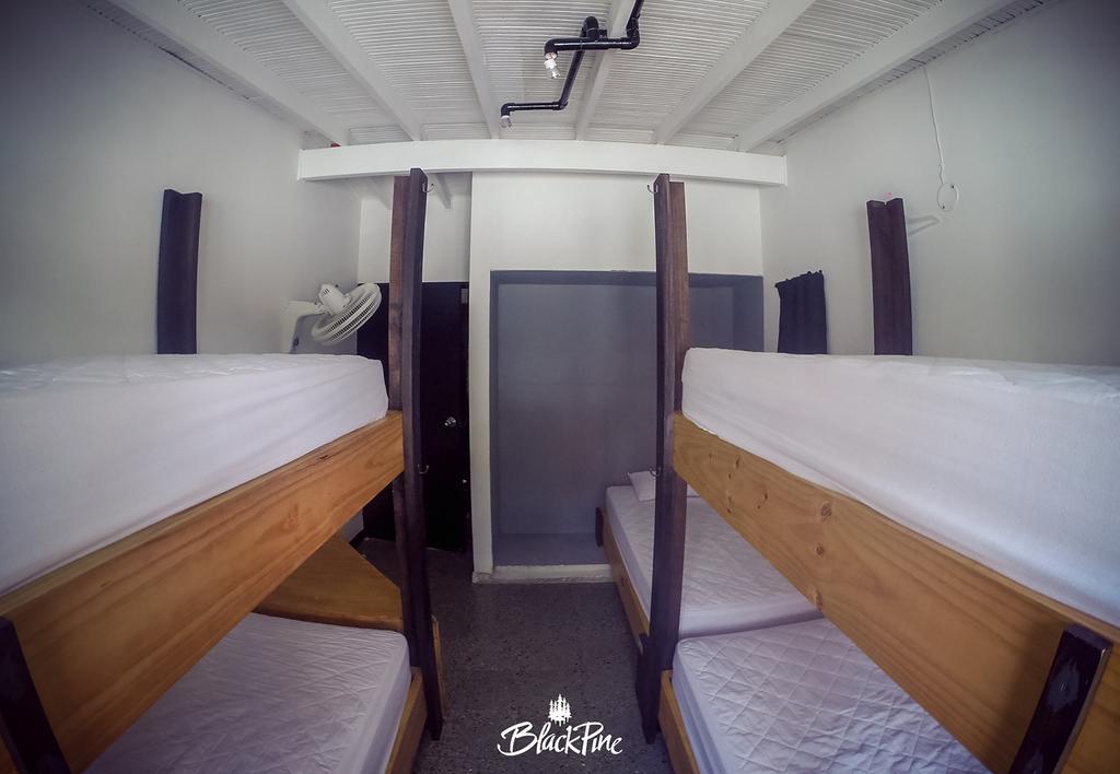 Blackpine Hostel Medellín Dış mekan fotoğraf