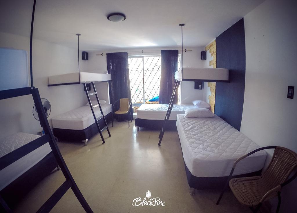 Blackpine Hostel Medellín Dış mekan fotoğraf