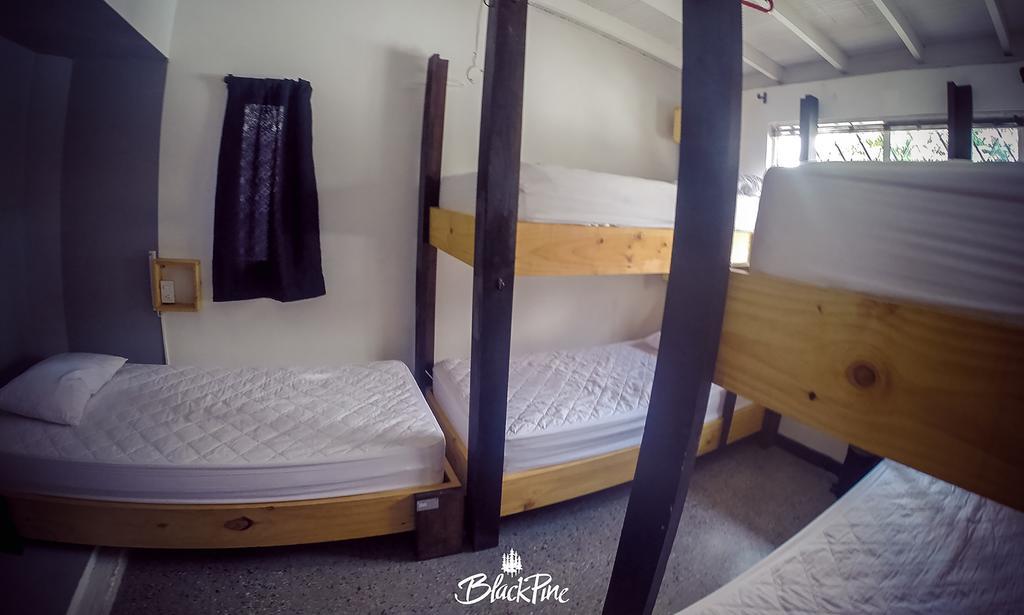 Blackpine Hostel Medellín Dış mekan fotoğraf