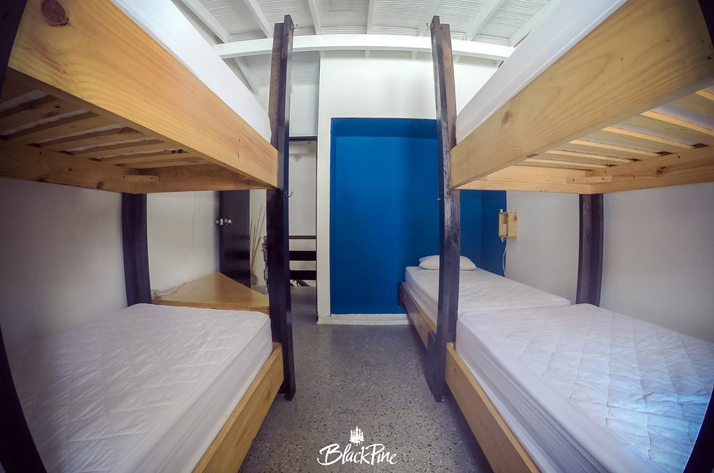 Blackpine Hostel Medellín Dış mekan fotoğraf